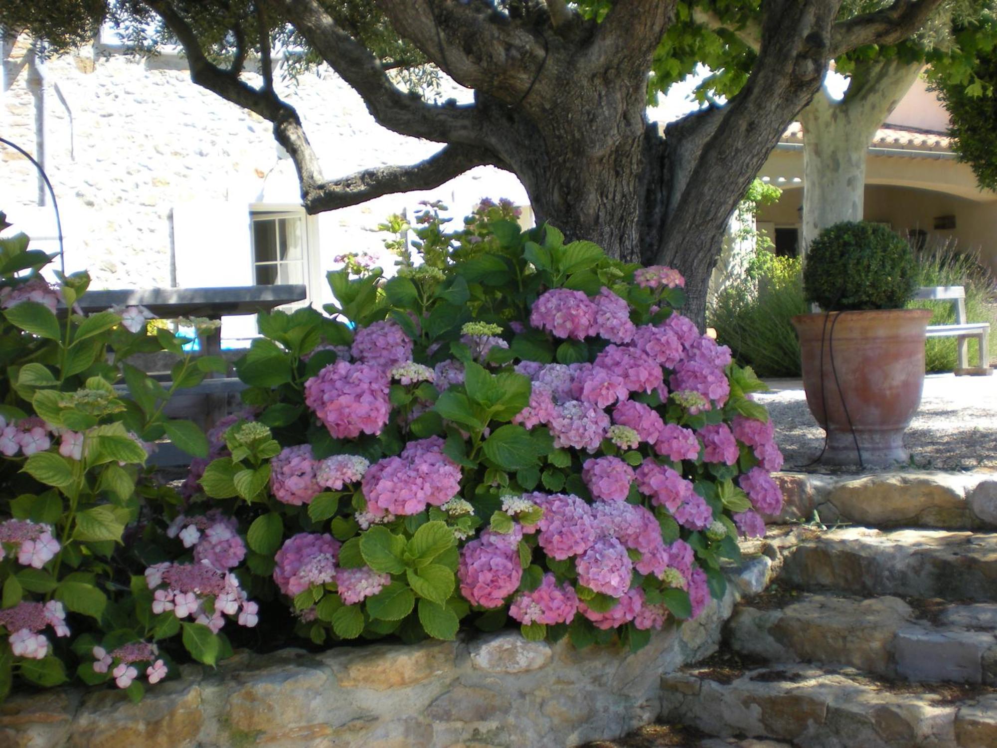 Bastide De Fontvieille Bed and Breakfast Saint-Cyr-sur-Mer Eksteriør billede